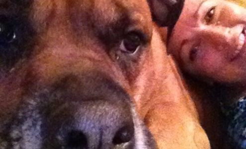 Fricks Crystal DVM Commerce