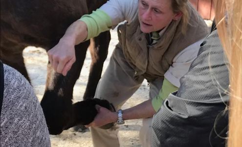 Maryland Equine Center Upperco