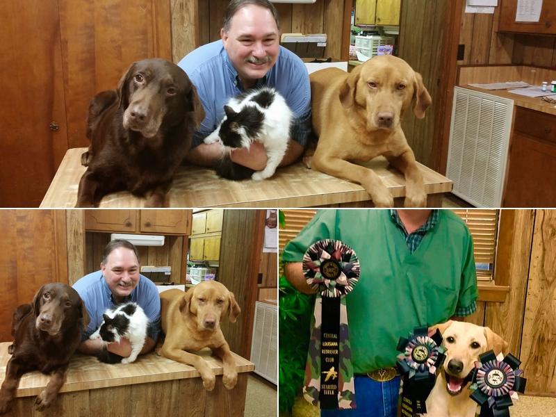 Byreview Veterinary Clinic: Stroderd Damian DVM