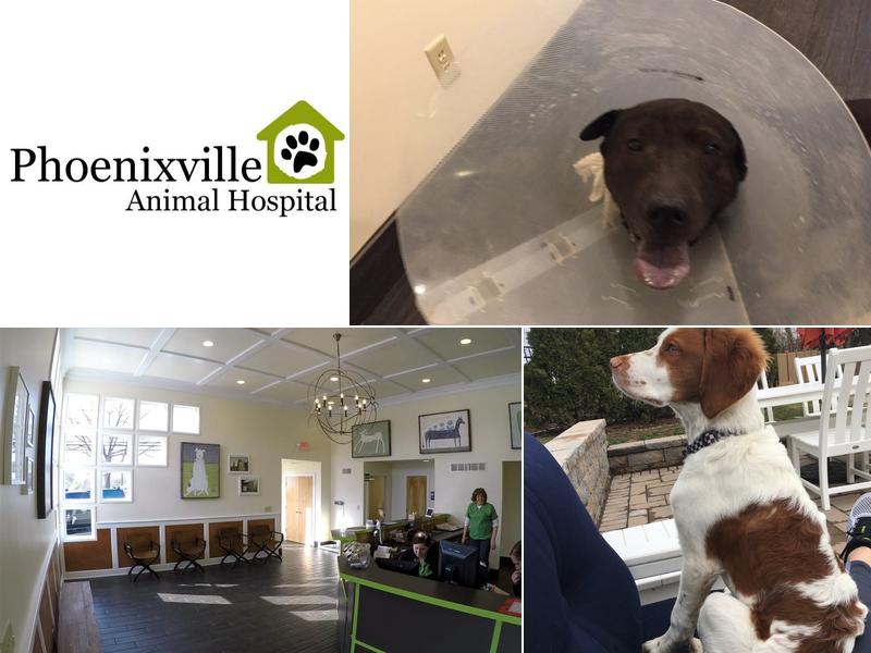 Burke Jacqueline DVM