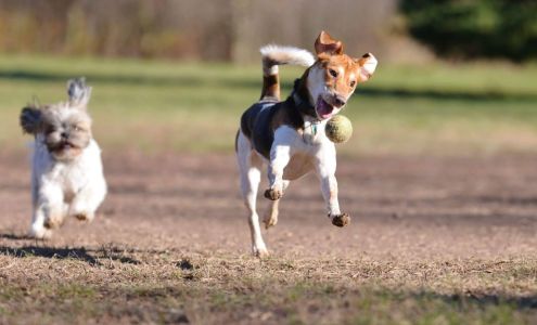 Edgewater Animal Shelter