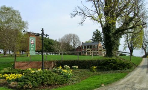 Always Helpful Veterinary Services Nottingham