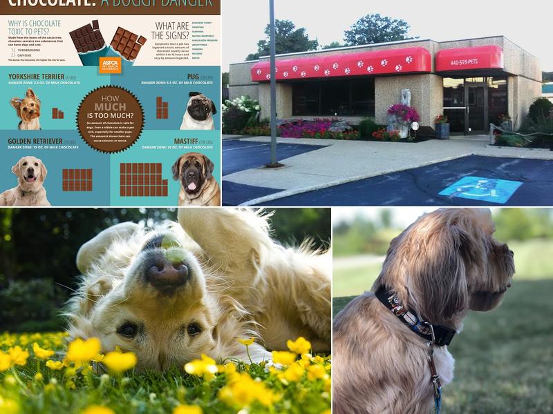 Conneaut Creek Veterinary Clinic