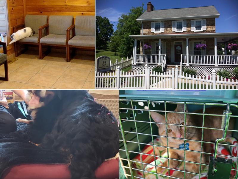 P.A.W. Veterinary Clinic