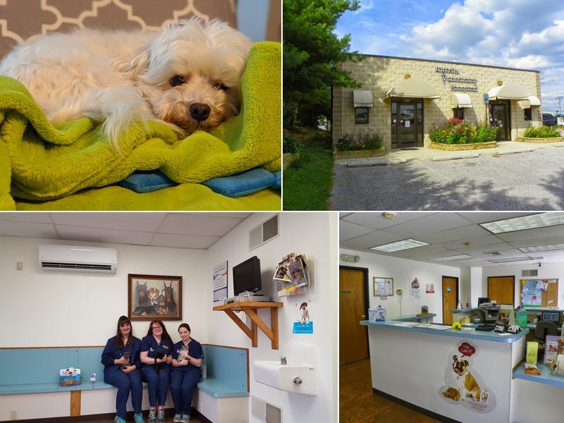 Antrim Veterinary Hospital, LLC