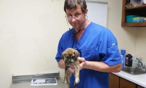 Dublin Animal Hospital PC - Jay Marshall Lord DVM Dublin