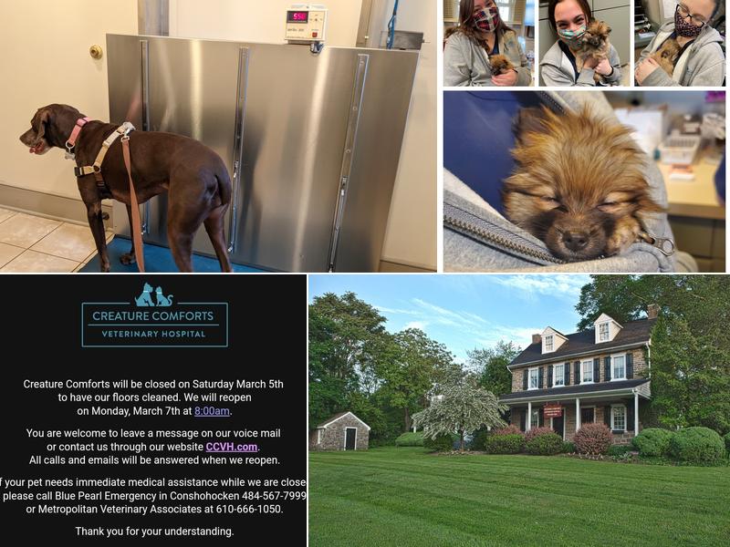 Creature Comforts Veterinary Hospital