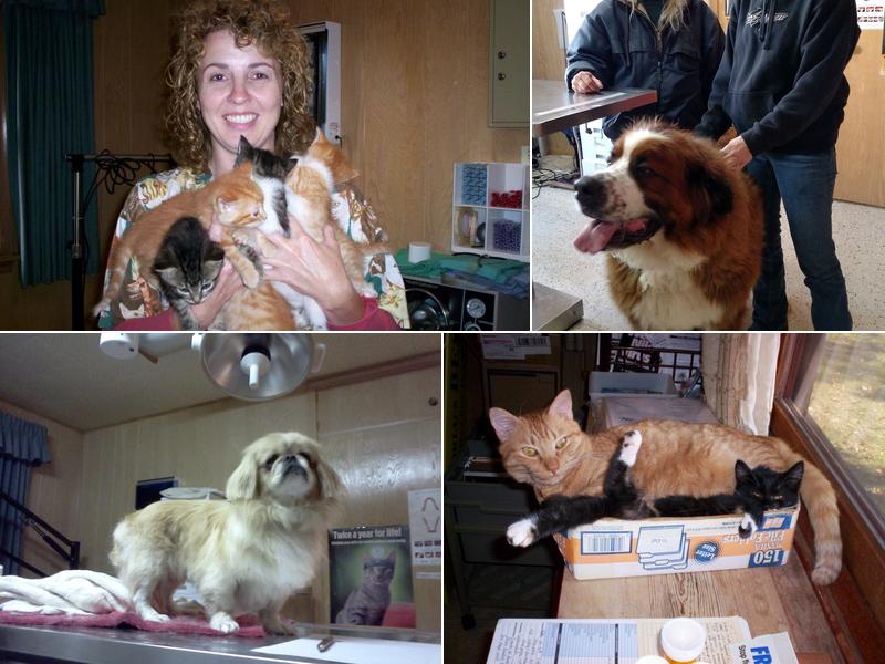 Dr. Reiter's Veterinary Clinic