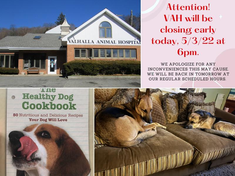 Valhalla Animal Hospital