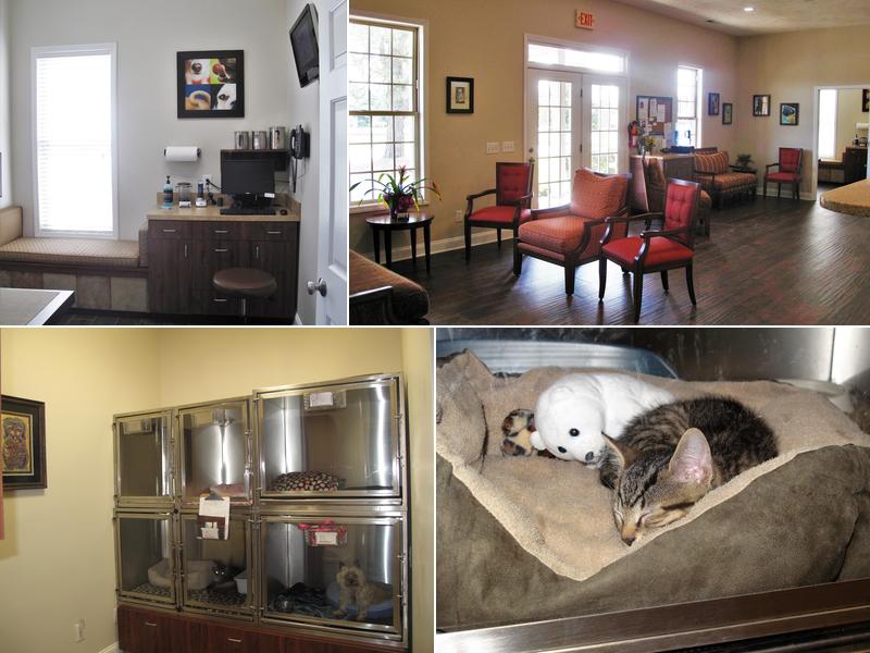 PineHills Veterinary Hospital