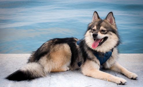 Baytree Animal Hospital: Creamer, Jeff D.V.M. Knight, Michael D.V.M.Dr Barrett D.V.M Valdosta