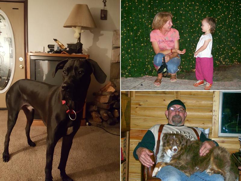 Steve DeCamp DVM - Payson Pet Care Veterinary Clinic