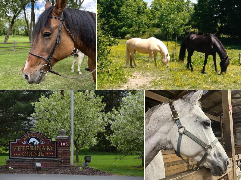 Kern Road Veterinary Clinic