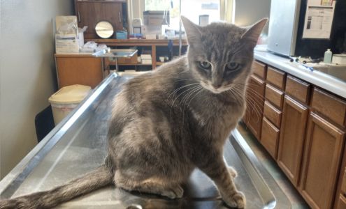 Wabasha Veterinary Clinic 136 Arch Ave, Wabasha Minnesota 55981