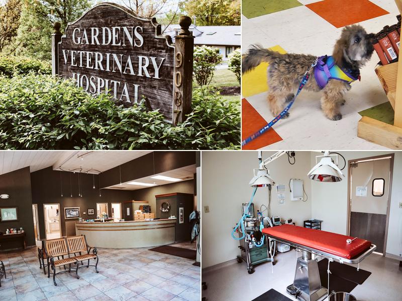 Dr. Darryl Strobel, DVM