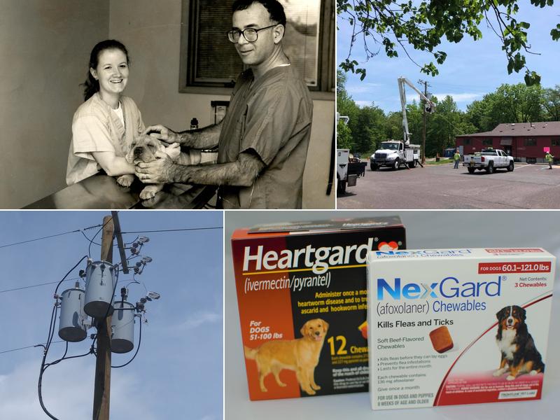 Evesham Veterinary Clinic: Moreno Pedro A DVM