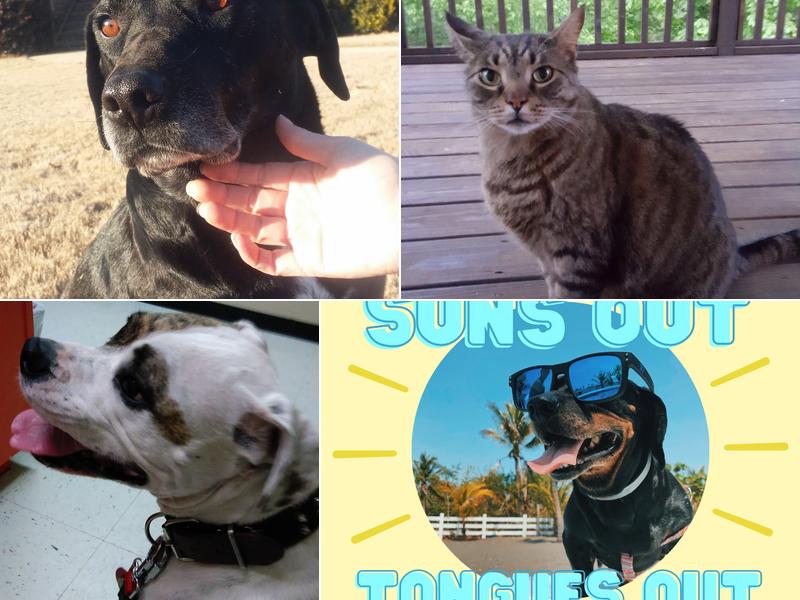 Stewart Animal Clinic: Bonds Tara DVM