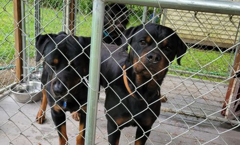 Center Point Animal Clinic