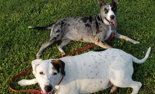 Sleeping Giant Veterinary