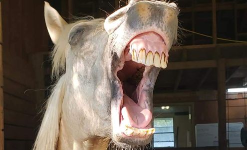 Slate River Veterinary Clinic Buckingham