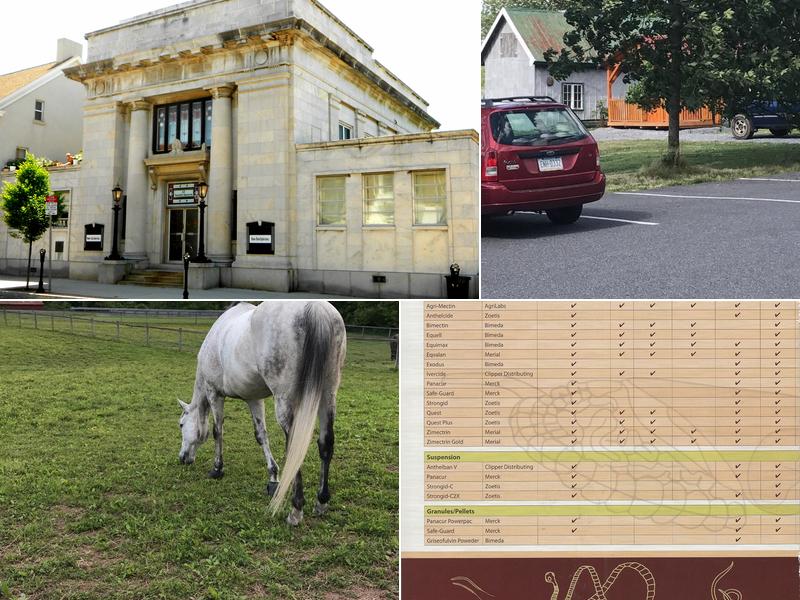 Mason Dixonequine Associates