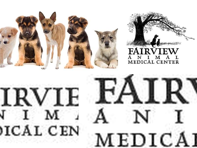 Fairview Animal Medical Center (Boisen, Matt DVM)