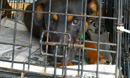 280 Animal Medical Center: Crisman Jay DVM Westover