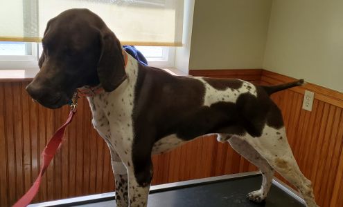 Midland Store Veterinary Clinic - Schuyler Schuyler