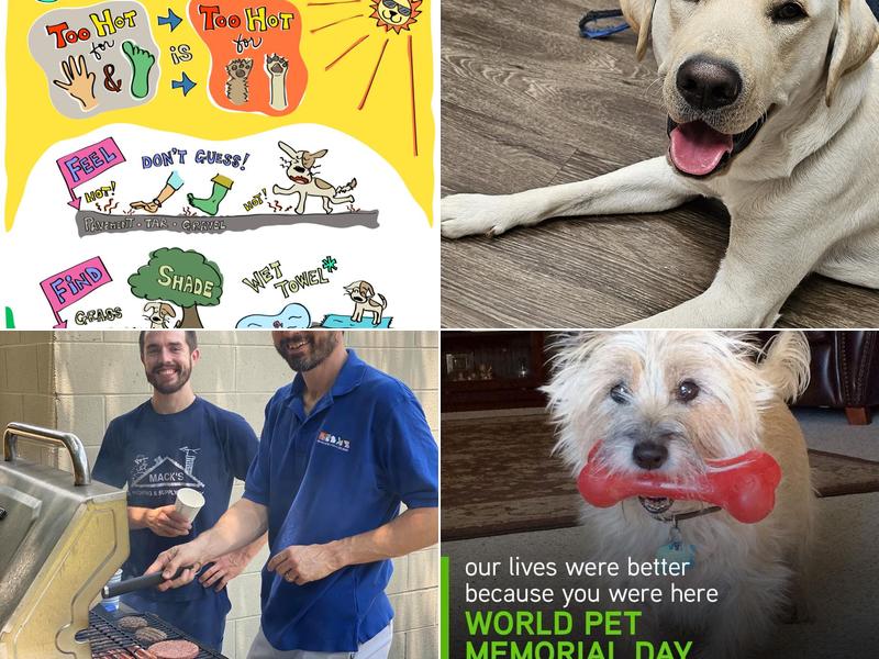 Dr. Jana Korsch-Dismukes