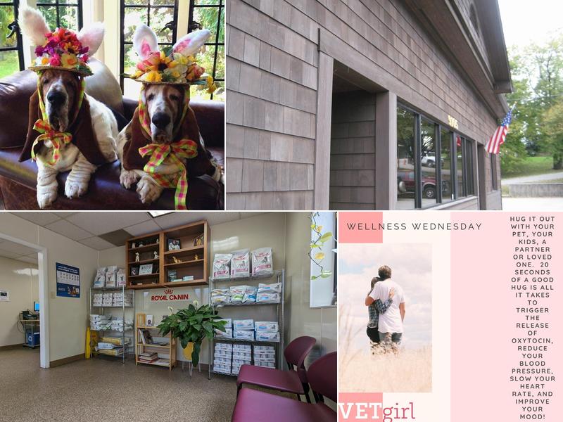 Dunloggin Veterinary Hospital