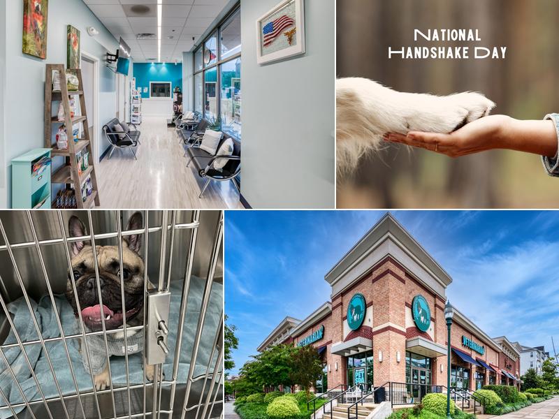 Neighborhood Veterinary Associates - NVA
