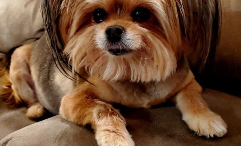 280 Animal Medical Center Westover