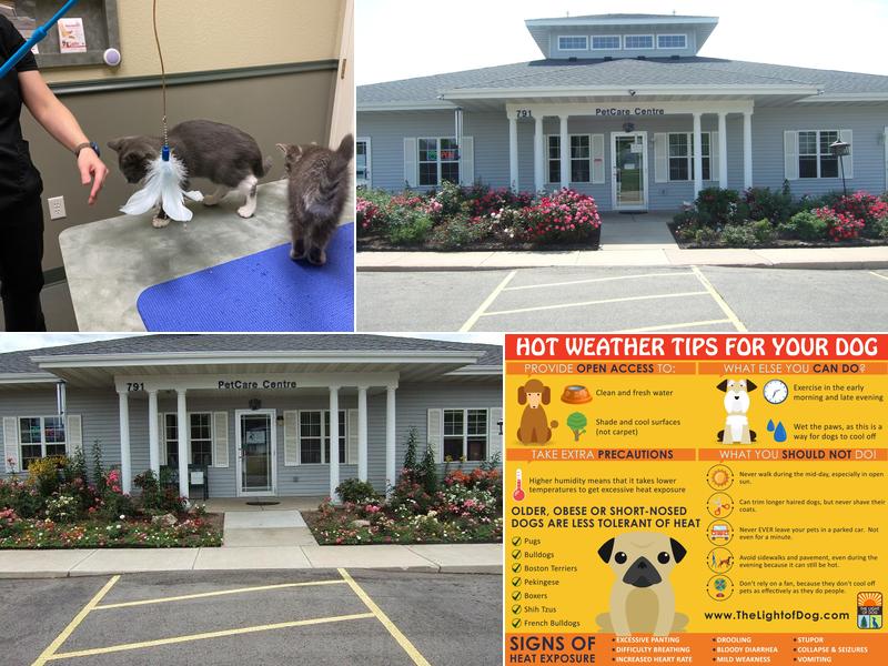 Nature's Preserve Pet Care