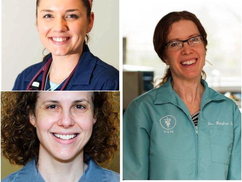 Stanek Jessica U DVM