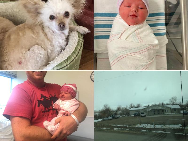 Lander Valley Animal Hospital: Blake Jessica DVM