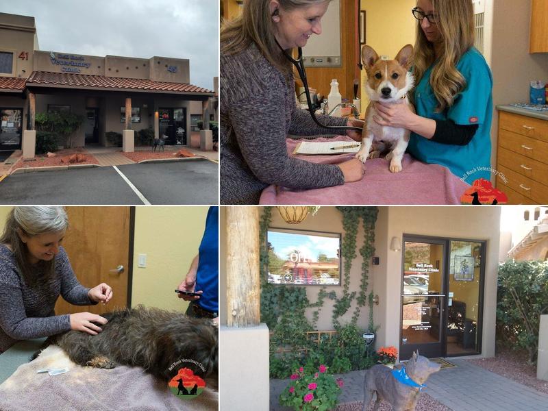 Bell Rock Veterinary Clinic