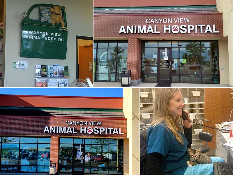 Canyon View Animal Hospital