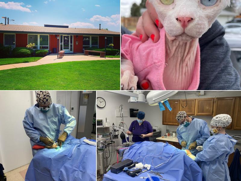 Columbine Animal Hospital