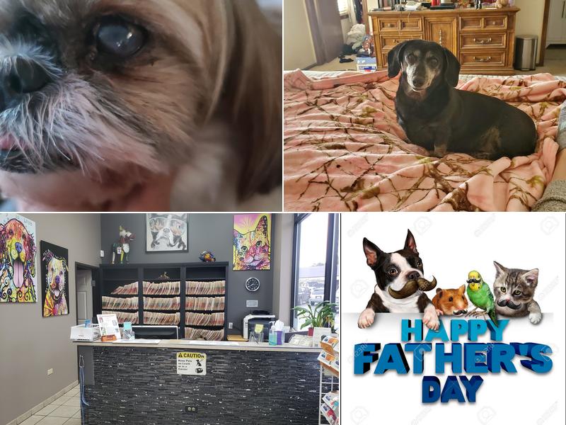 Just for Paws Veterinary Hospital