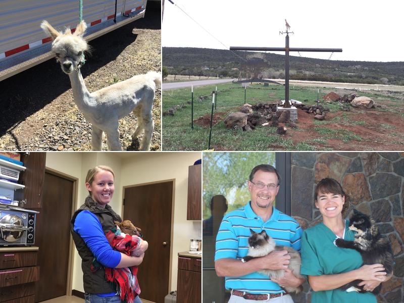 Surface Creek Veterinary Center