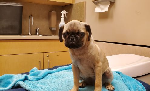 Veterinary Specialty Center