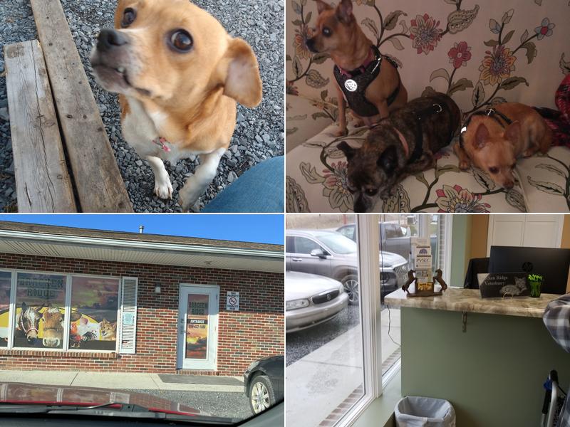 Bracken Ridge Veterinary Medical Doctor, Inc.