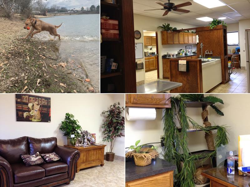 Arkansas Animal Care Clinic: Tena J Spencer, DVM