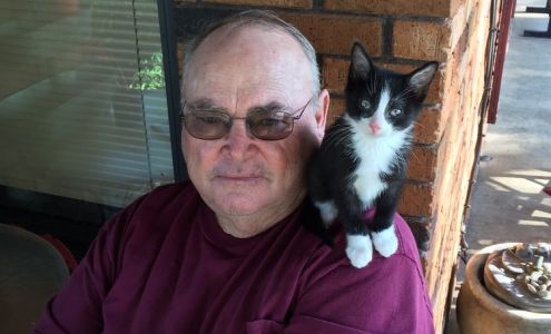 Dwight L Witcher DVM 297 State Hwy 293, Tillar Arkansas 71670