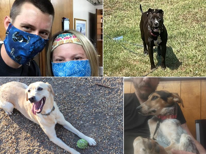 Cloverdale Animal Hospital: Dr. Michael T Gillum DVM