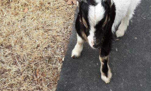 Western Grove Veterinary Clinic US-65, Western Grove Arkansas 72685