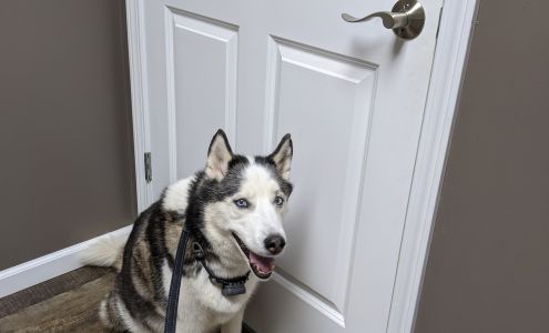 Williams Veterinary Clinic 1415 State Hwy 1943, Eddyville Kentucky 42038