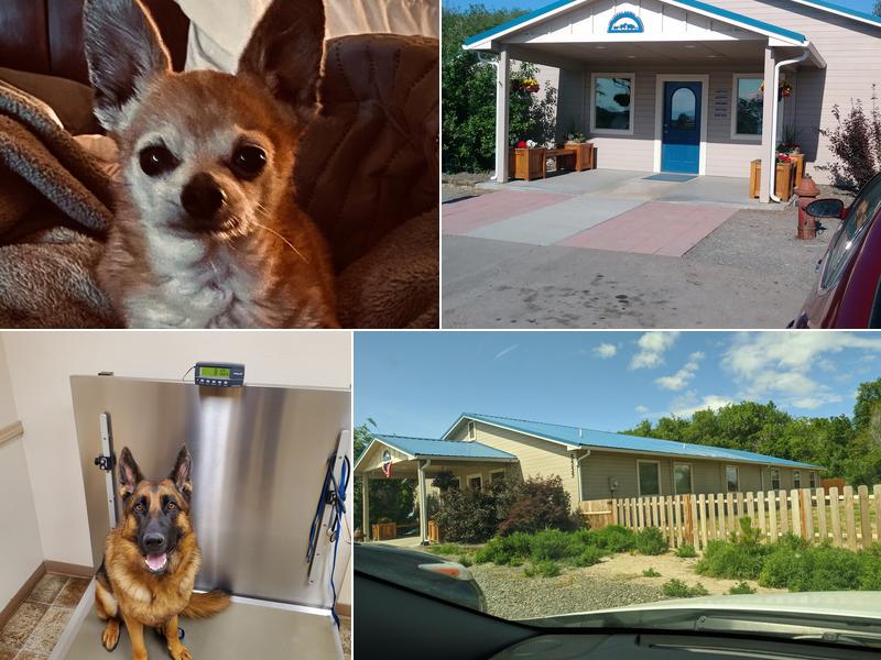 All Creatures Animal Hospital