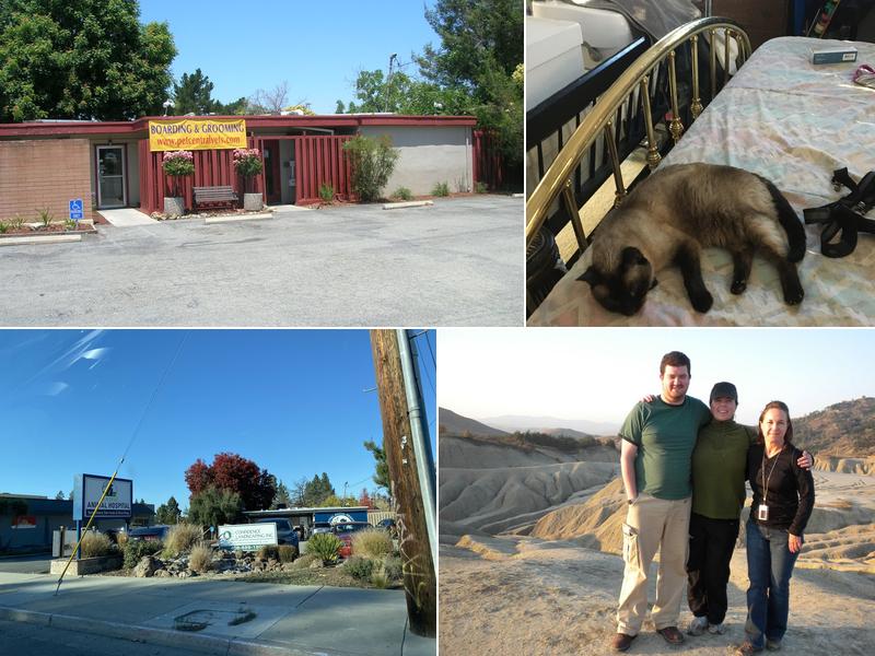 Central Animal Hospital