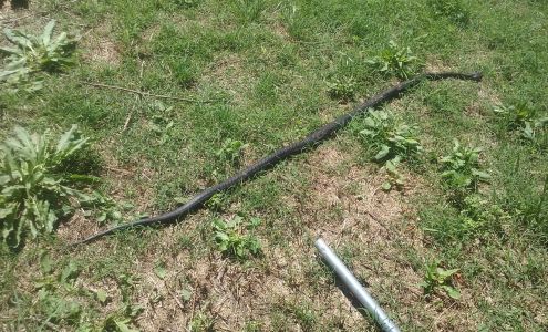 Mckey Equine Hospital 107793 S 4570 Rd, Sallisaw Oklahoma 74955